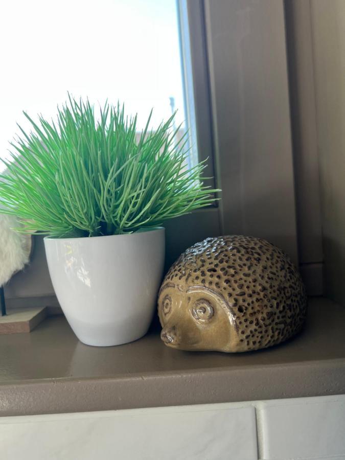 Vakantiehuis Germaine ミデルケルケ エクステリア 写真